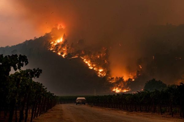 Credit: Daniel Kim, Sacramento Bee, Glass Fire near Calistoga